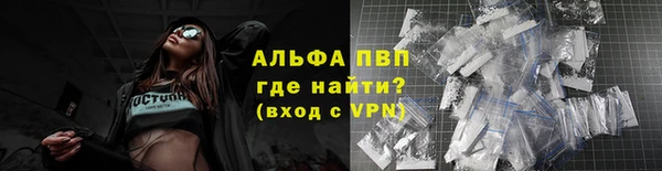 PSILOCYBIN Струнино