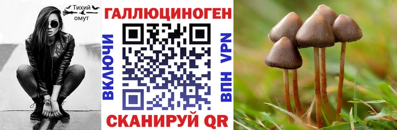 Галлюциногенные грибы Cubensis  магазин продажи наркотиков  Будённовск 